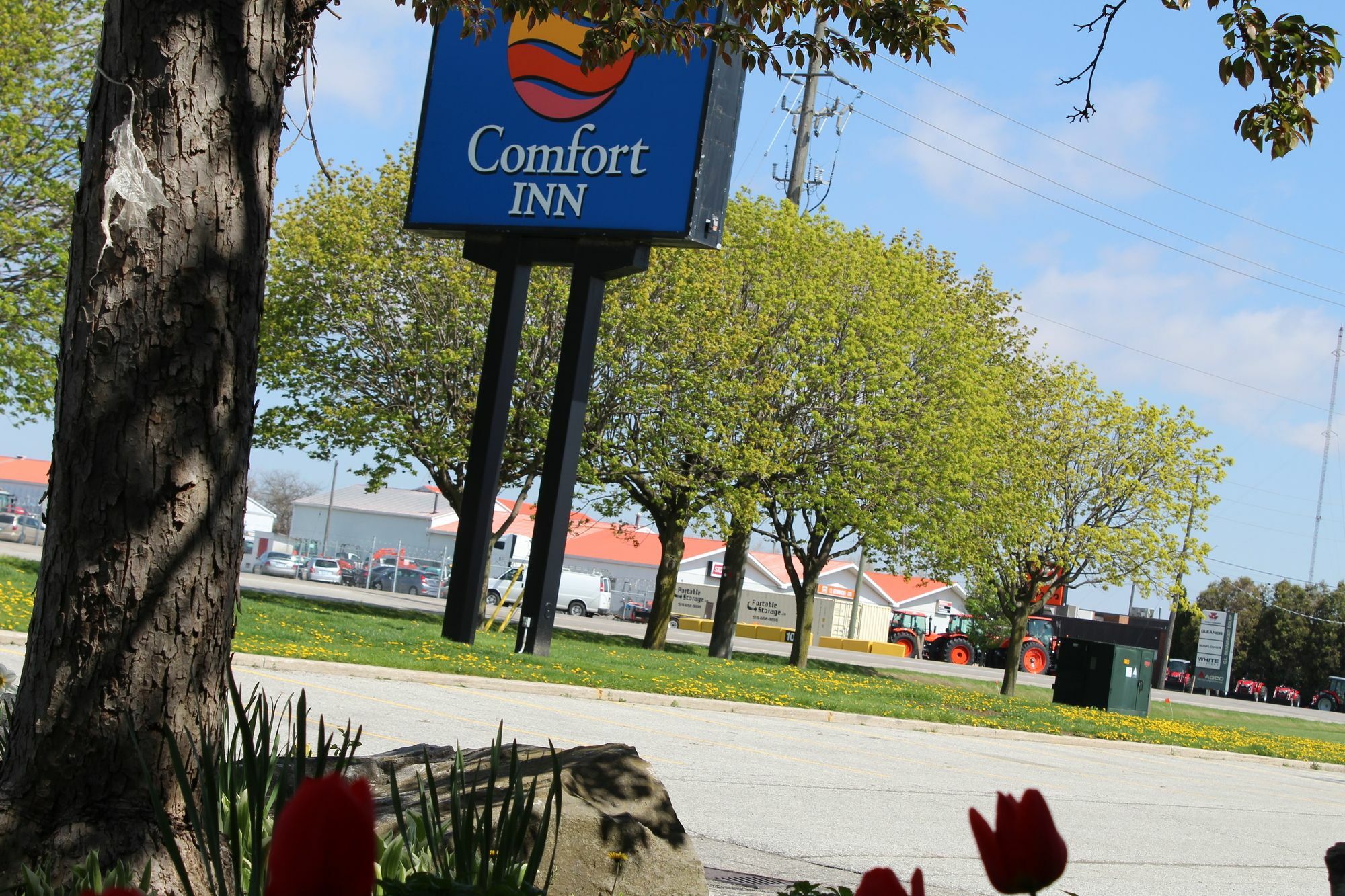 Comfort Inn Chatham-Kent Ngoại thất bức ảnh